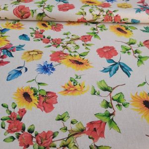 550368760_122245520438022935_1370343165504601738_n