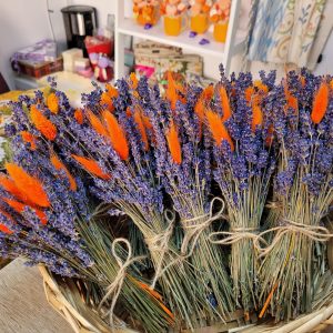 552772889_1310253677781236_7270563527943963292_n