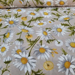 555211742_122245611086022935_6654953963102568972_n