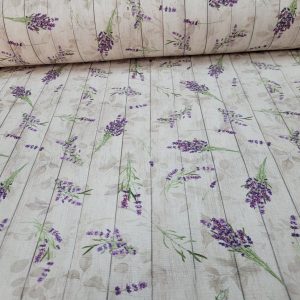 556403046_122246617094022935_6850781858729002759_n