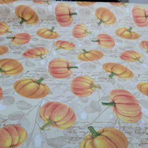 557587635_122246615354022935_8890883438027766817_n