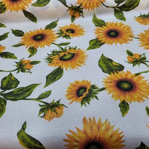 557641819_122246615498022935_2909084948504943653_n