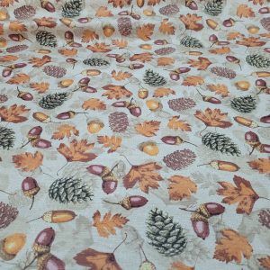 558391374_122246615456022935_122787134898352329_n