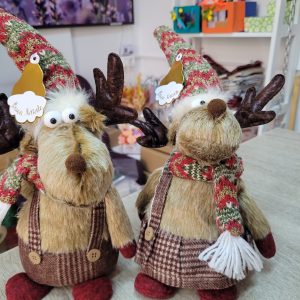 561652874_1335613258578611_9009331285183665864_n