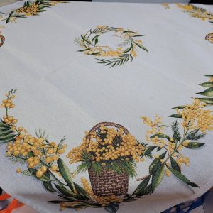 627059446_1419312806875322_4667856235783610303_n