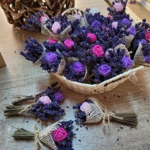 627157194_1420210563452213_5063704832674964459_n