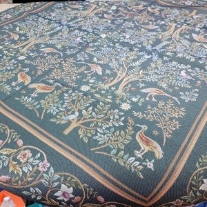 627601187_1419312290208707_3048340847742767124_n