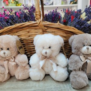 679160961_1490940496379219_7991160232959818778_n